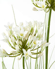 White Agapanthus Faux Plant Decorative Pot