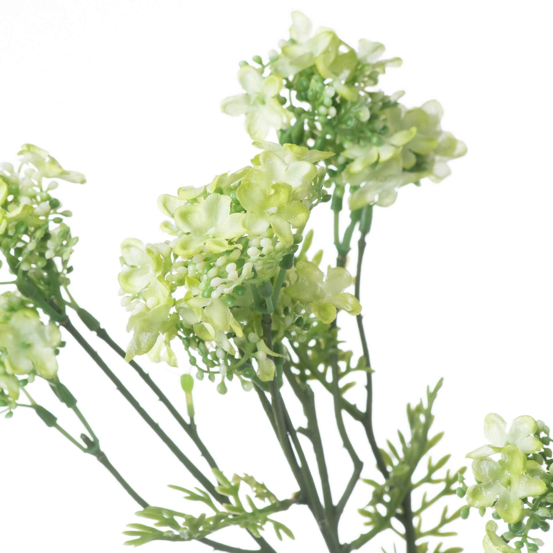 Refreshing Green Plum Blossom Body Spray | Floral Mist