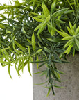 Mini Bamboo Plant in Grey Pot