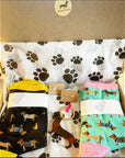Dachshund Letterbox Gift