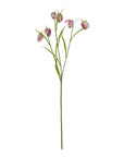 Purple Fritillaria Stem Floral Display
