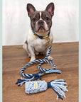 Make Your Own Dog Lead Craft Kit - BLUE