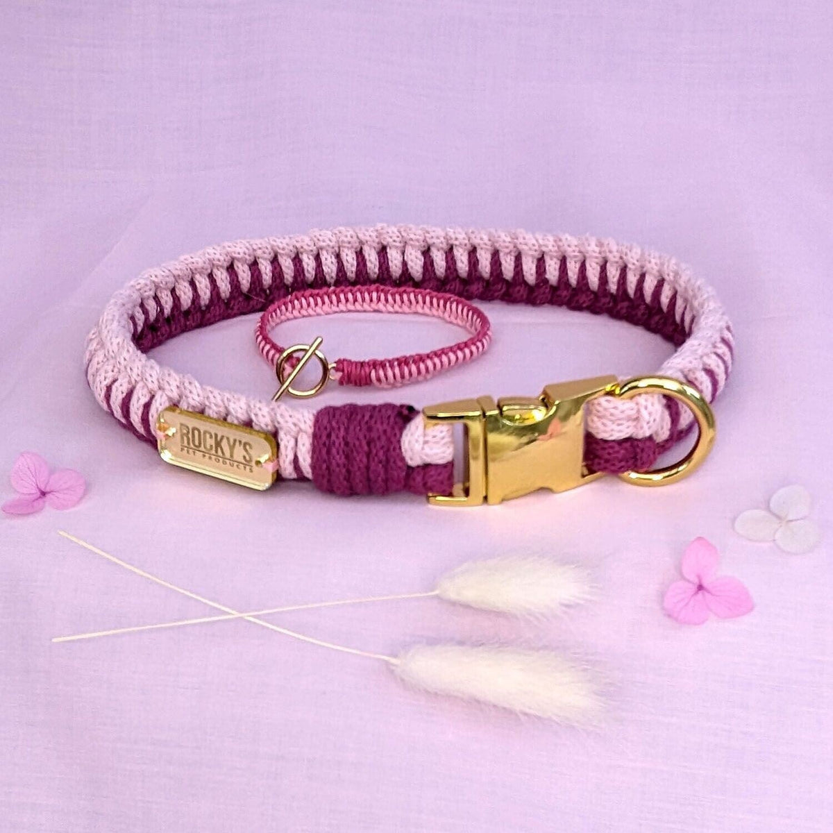 Make Your Own Dog Collar &amp; Friendship Bracelet Craft Kit - PINK