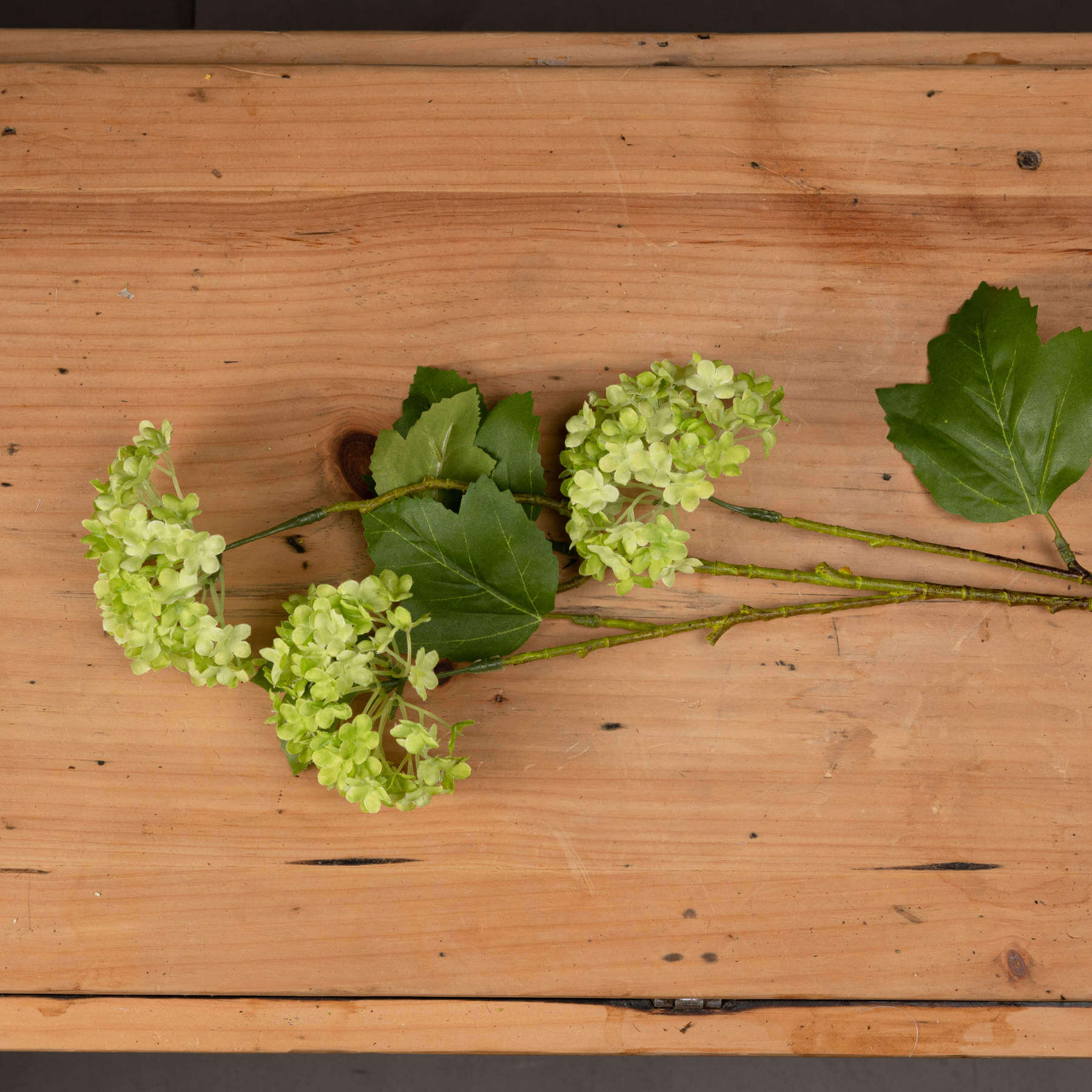 Fresh Green Viburnum Spray | Natural Floral Decor