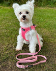 Tiny Trails Reflective 15mm Webbing Lead with Neoprene Handle Lining Pink