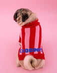 Lollipop Cloomps Jumper