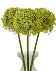 Vibrant Green Allium Stem for Interior Styling