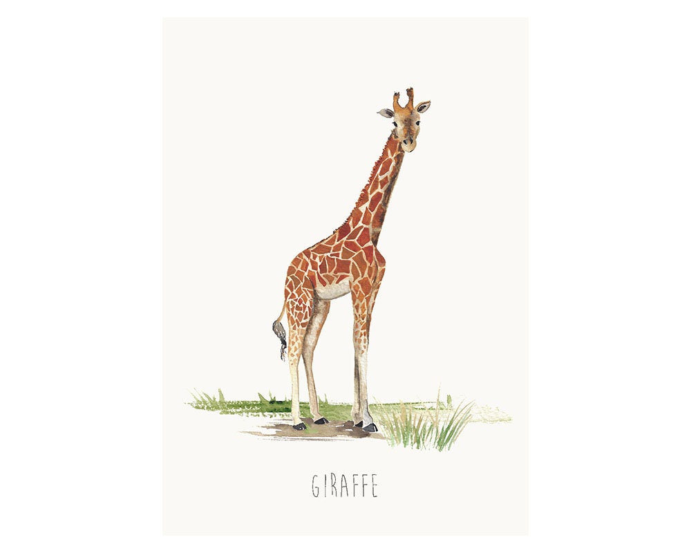 Giraffe Greetings Card - Created from hand-painted design