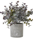 Mini Eucalyptus Plant in Grey Decorative Pot