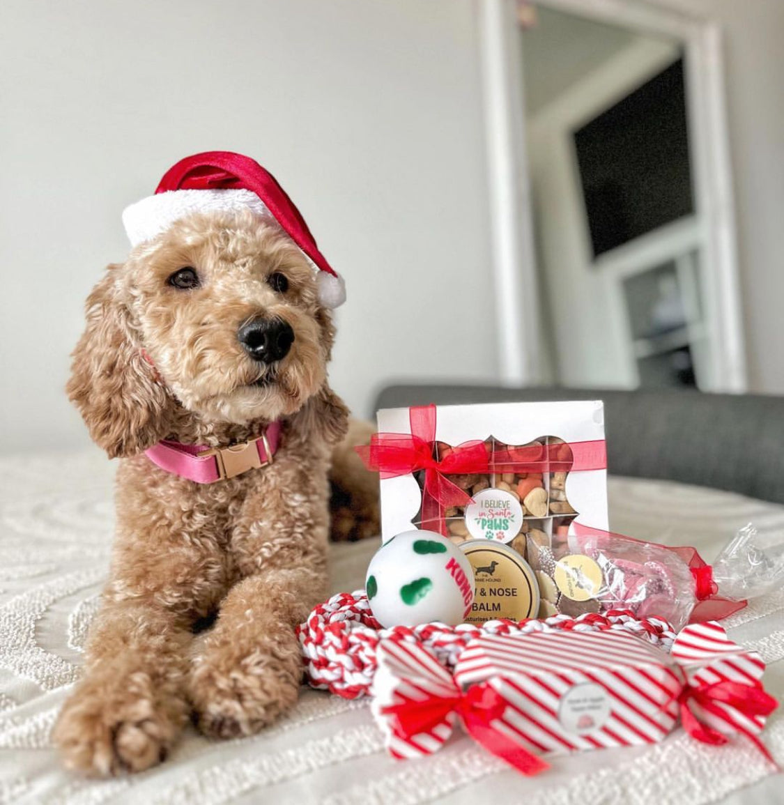 I Believe in Santa Paws Dog Biscuit Treat Box