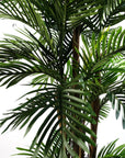 Areca Palm Artificial Tree 150cm  - Realistic plant by Botanik-2