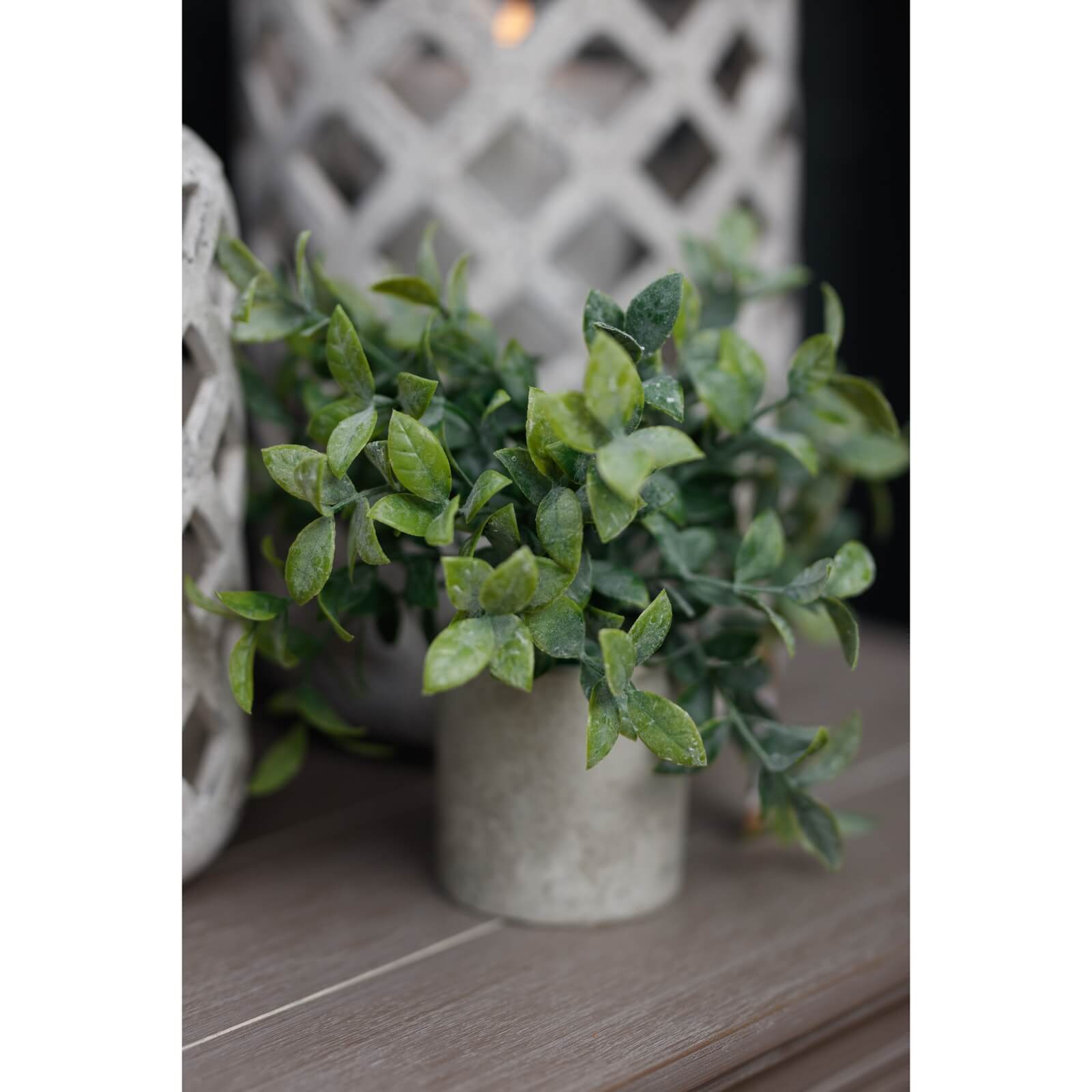 Small Faux Boxwood Plant in Grey Pot