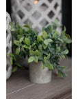 Small Faux Boxwood Plant in Grey Pot
