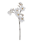 White Magnolia Stem Garden Decoration
