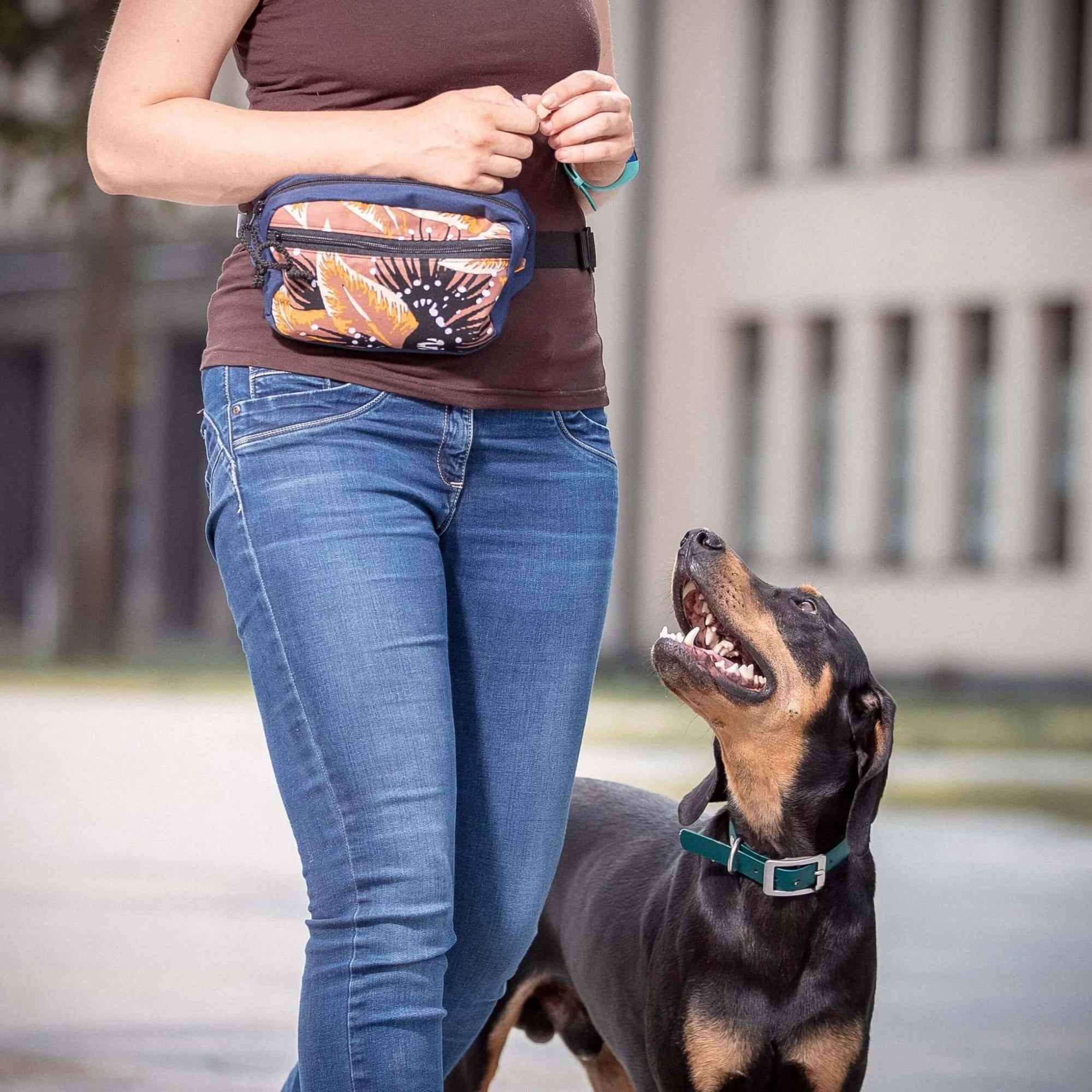 Black Hole Dog Treat Pouch