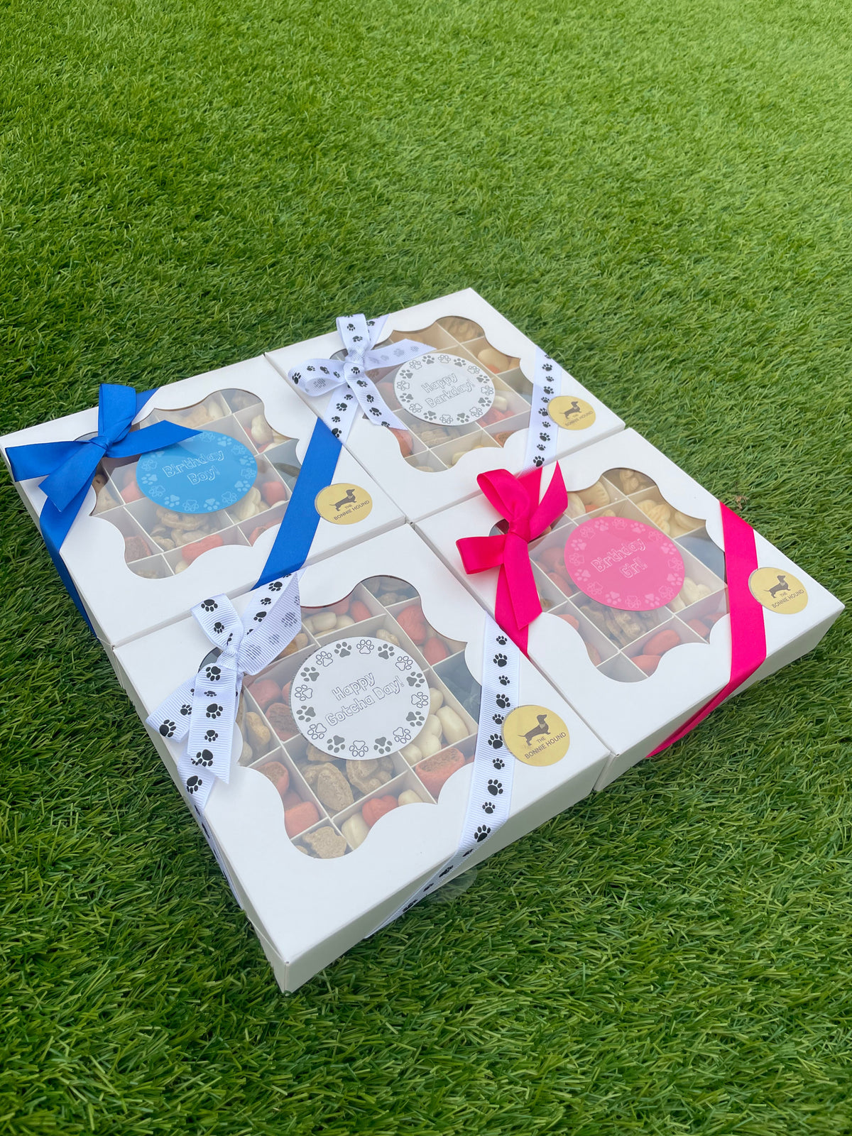 Birthday Girl Biscuit Treat Box