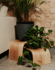 Wooden Floor Plant Stand - Set of 3
