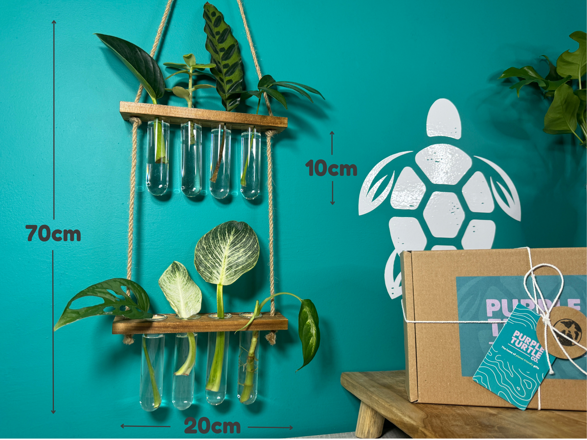 Plant Propagation Gift Set 