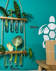 Plant Propagation Gift Set 