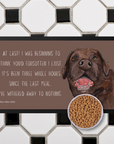 Starving Since Breakfast Pet Bowl Mat – Featuring the Chocolate Labrador