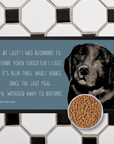 Starving Since Breakfast Pet Bowl Mat – Featuring the Black Labrador