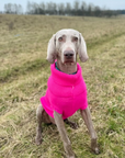Extra Large British Wool Dog Jumper