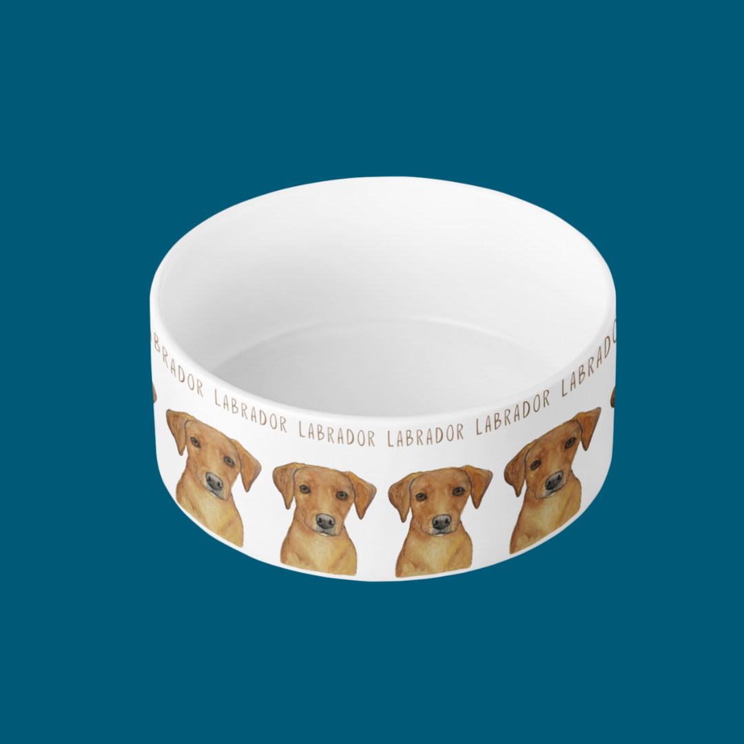 Bone Appétit! Luxe Lab Bowl for the Om Nom Nomnivore