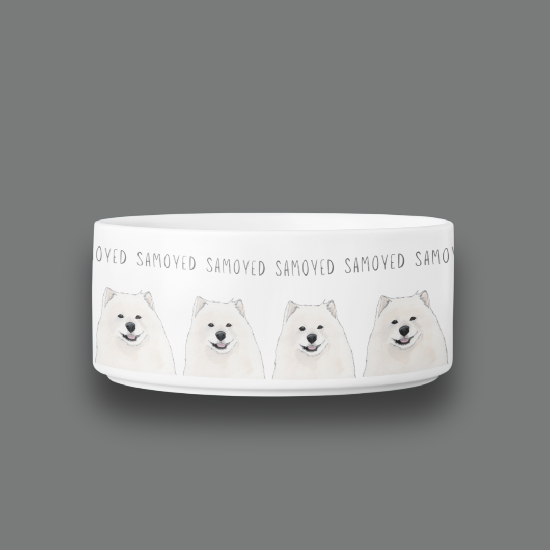 Bowl of Fluff: The Samoyed Dining Experience