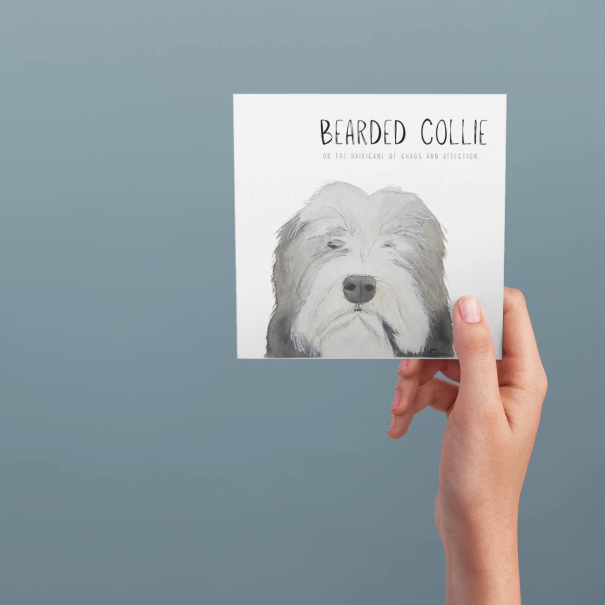 Hairy Wishes &amp; Tailspins: Bearded Collie Greeting Card