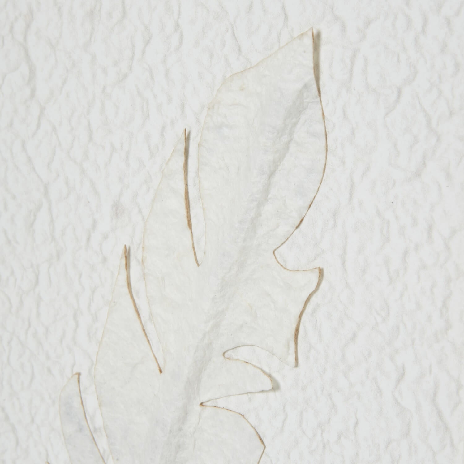 White Feather Wall Art with Champagne Frame