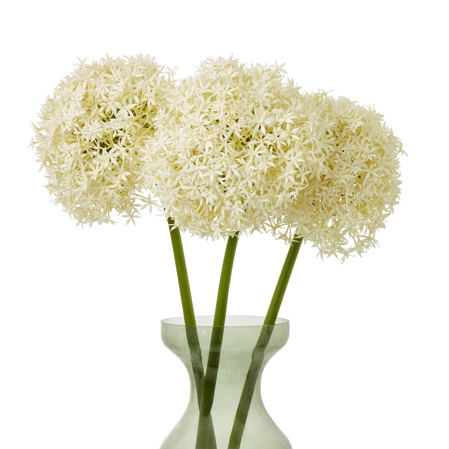 Cream Giant Allium Stem Faux Flower Arrangement