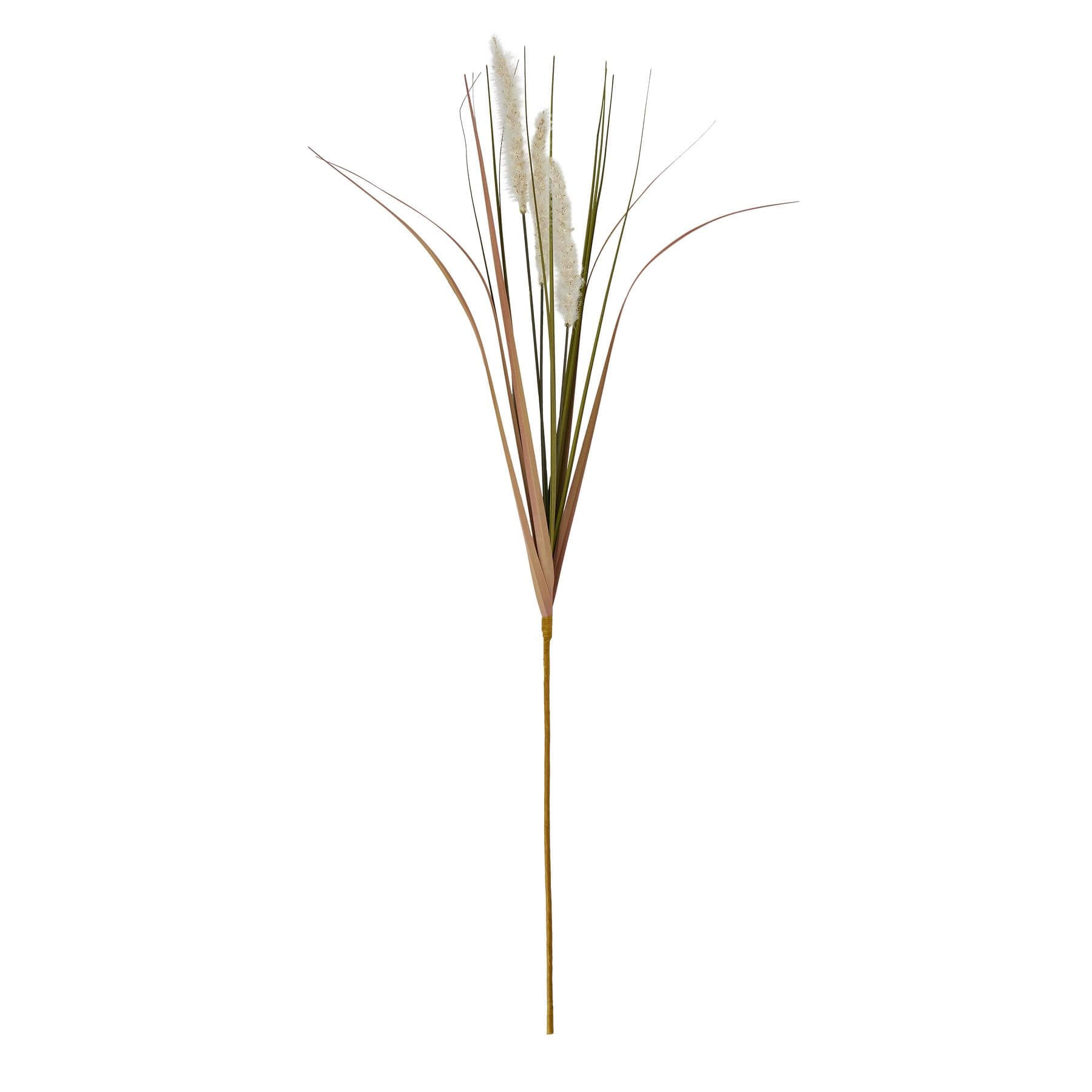 Cream Meadow Grass Stems for Relaxed Interior Style