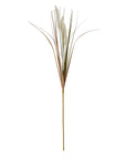 Cream Meadow Grass Stems for Relaxed Interior Style