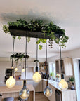 Wooden Chandelier with Black Canopy | Rustic Kitchen Island Lighting UK