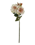 Soft Blush Tea Rose