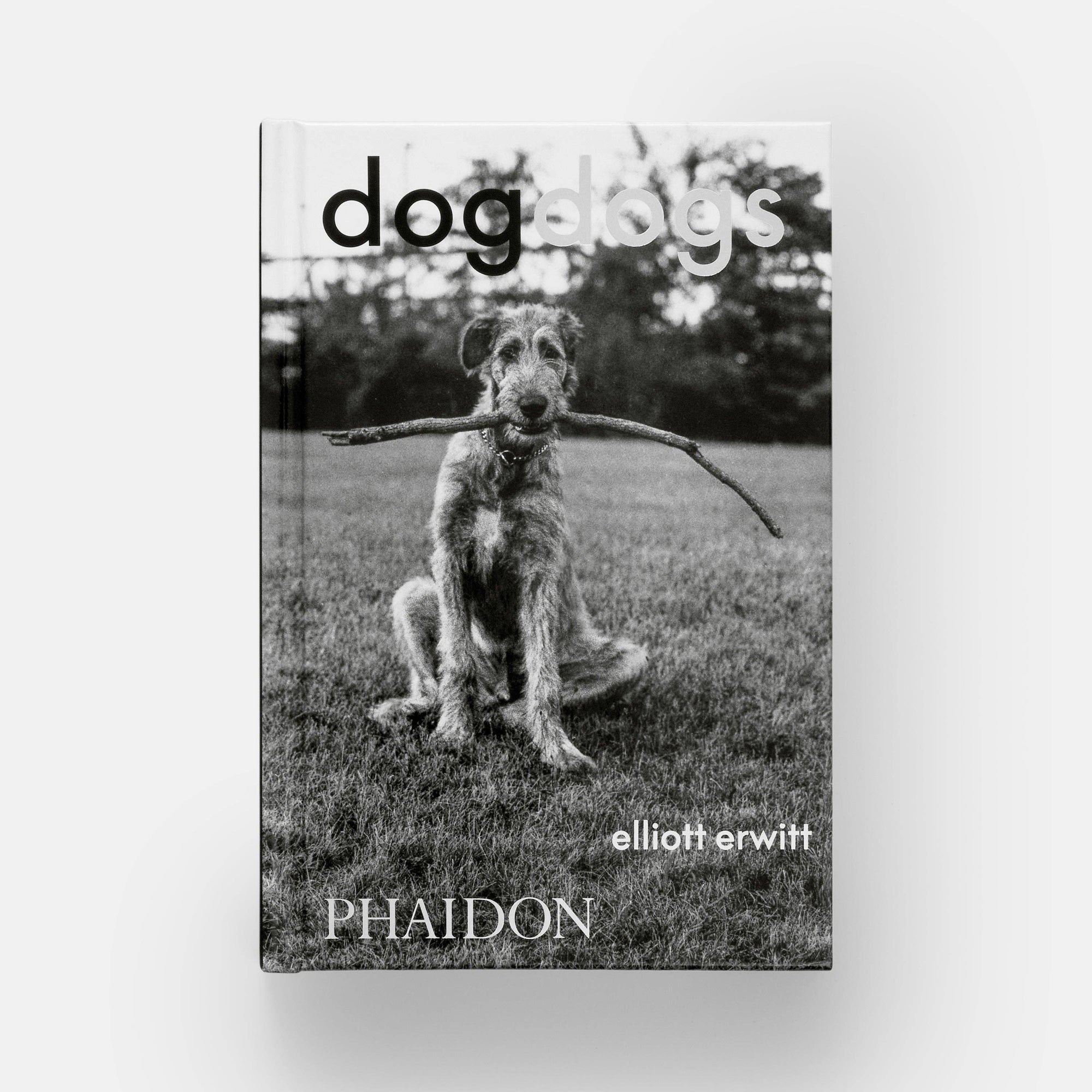 DogsDogs by Elliott Erwitt