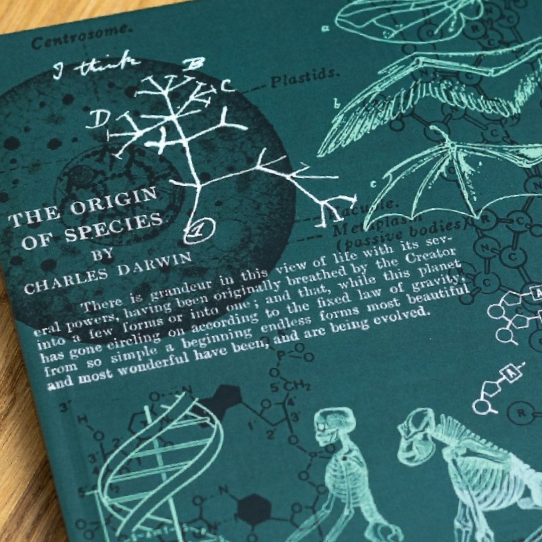 Evolution &amp; Genetics A5 Hardcover