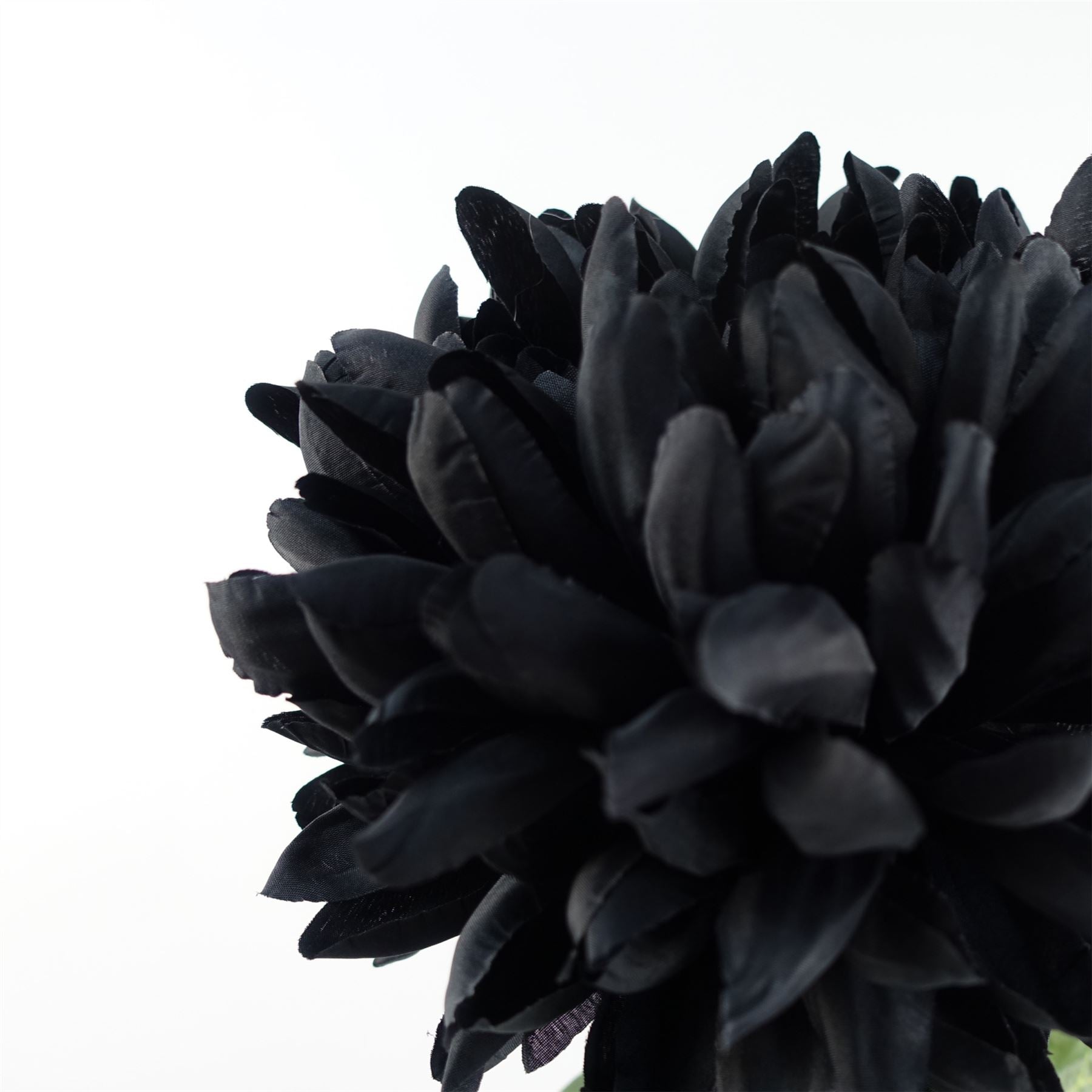 Pack of 6 x Artificial Flowers Extra Large Reflex Chrysanthemum - Black 75cm-3