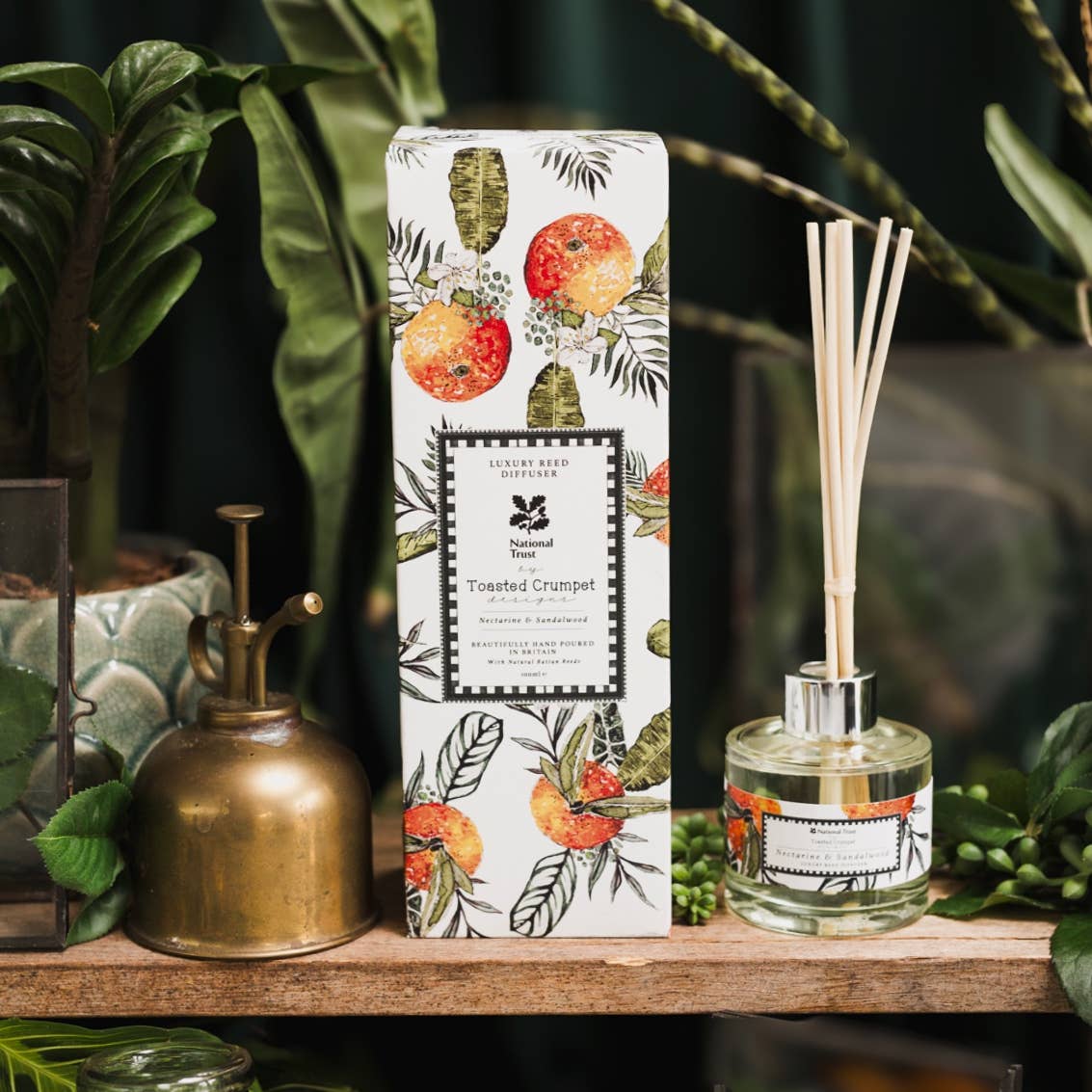 Nectarine &amp; Sandalwood Diffuser