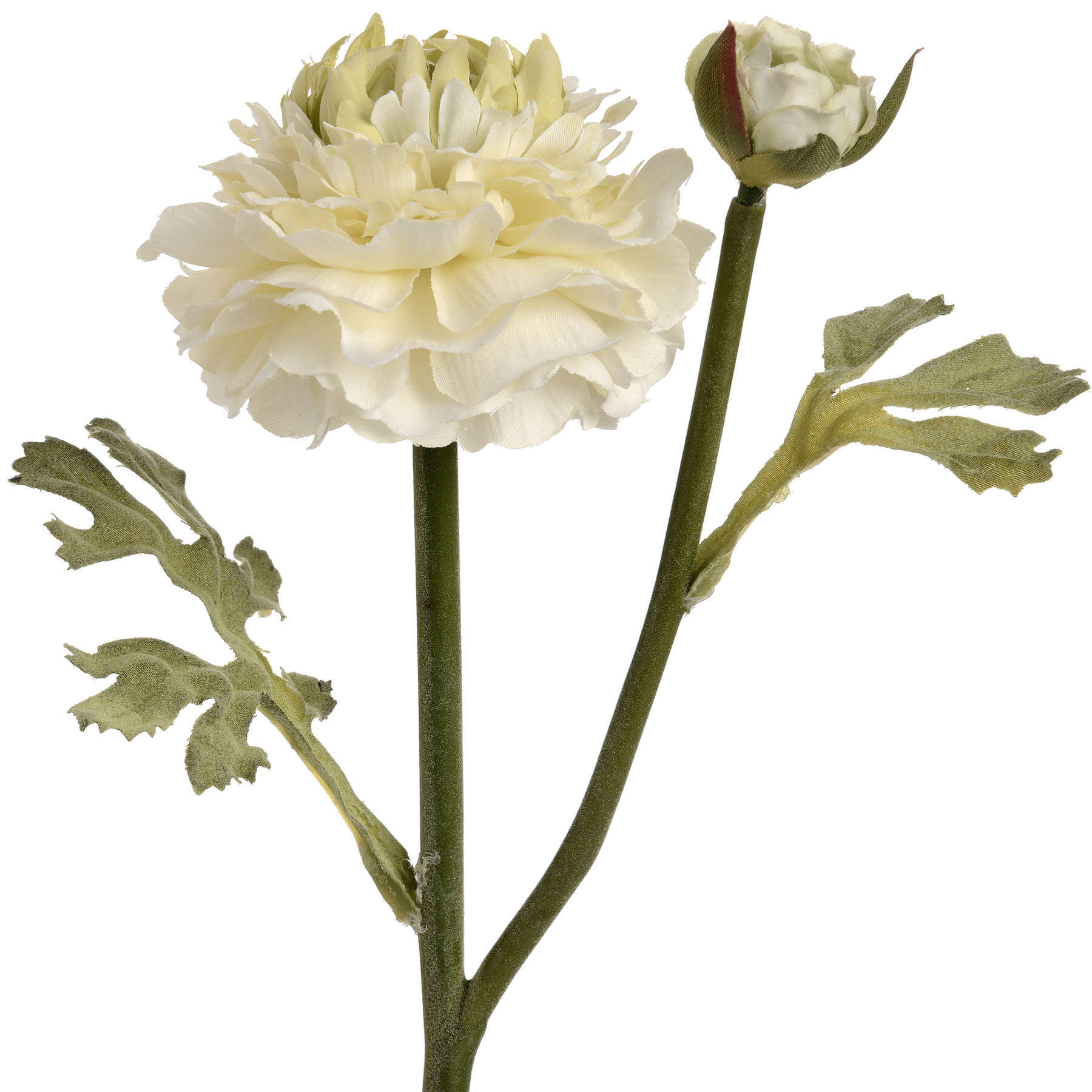 Fresh Green Ranunculus Bouquet | Elegant Floral Spray