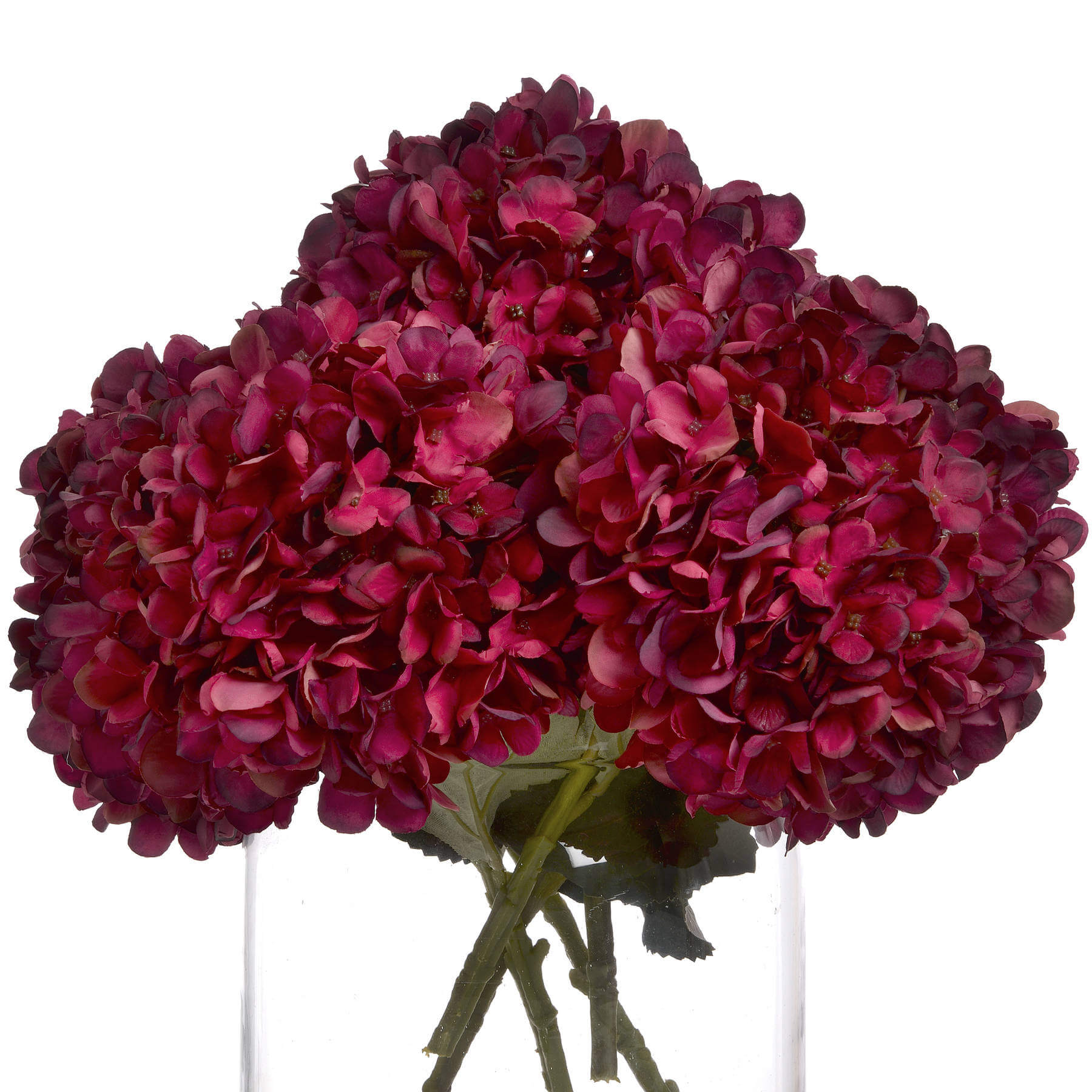 Autumn Ruby Hydrangea Stem with Lush Fall Blooms