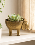 Elephant Indoor Planter | Brass Finish Animal Plant Pot