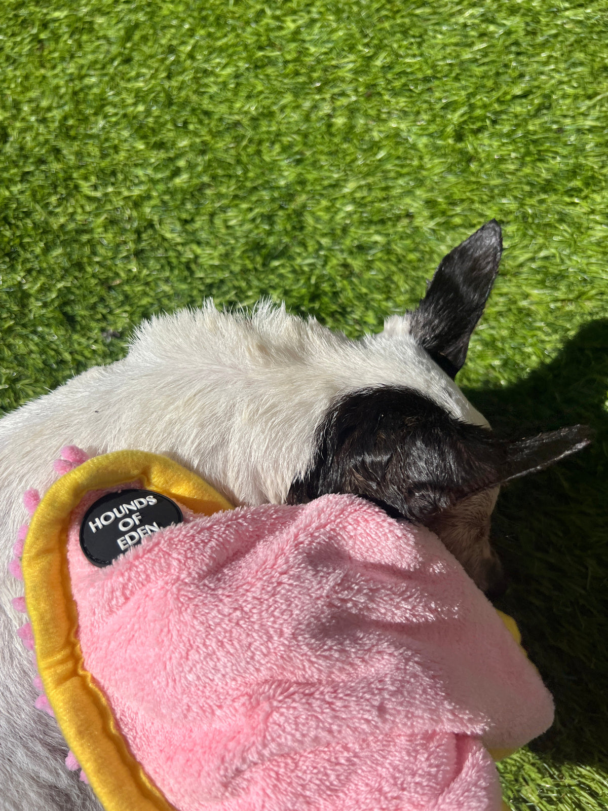 Mini Dog Towel + Clip, Dusty Pink &amp; Green