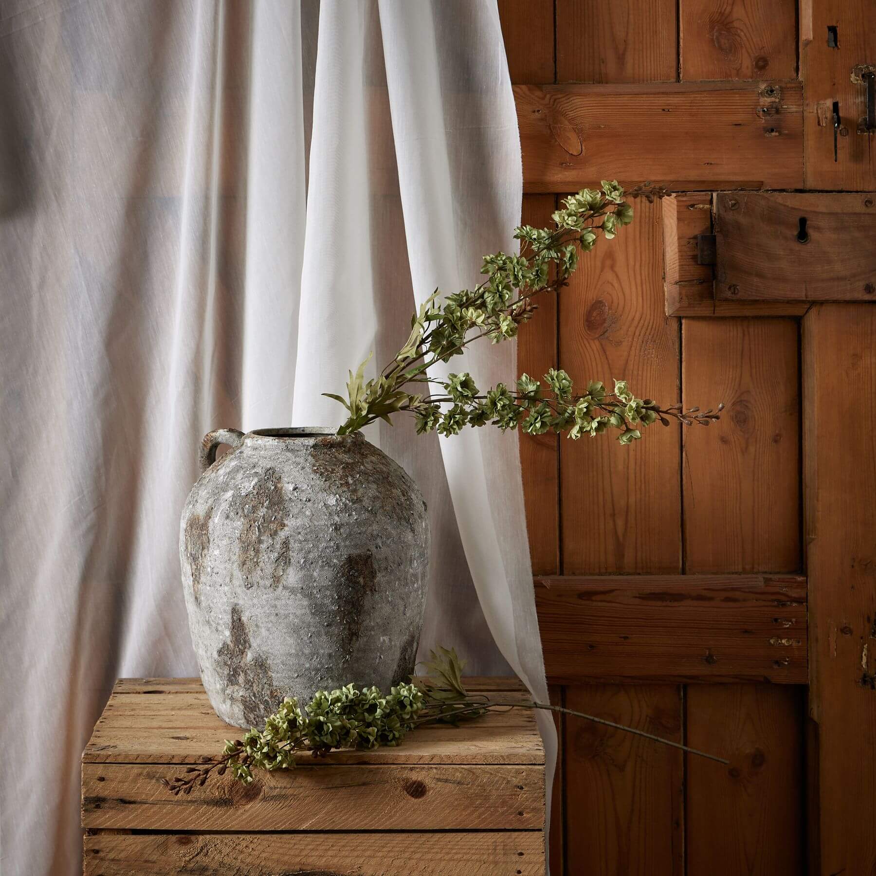 Tall Green Hops Stem for Delightfully Stylish Home Display