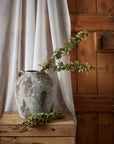 Tall Green Hops Stem for Delightfully Stylish Home Display