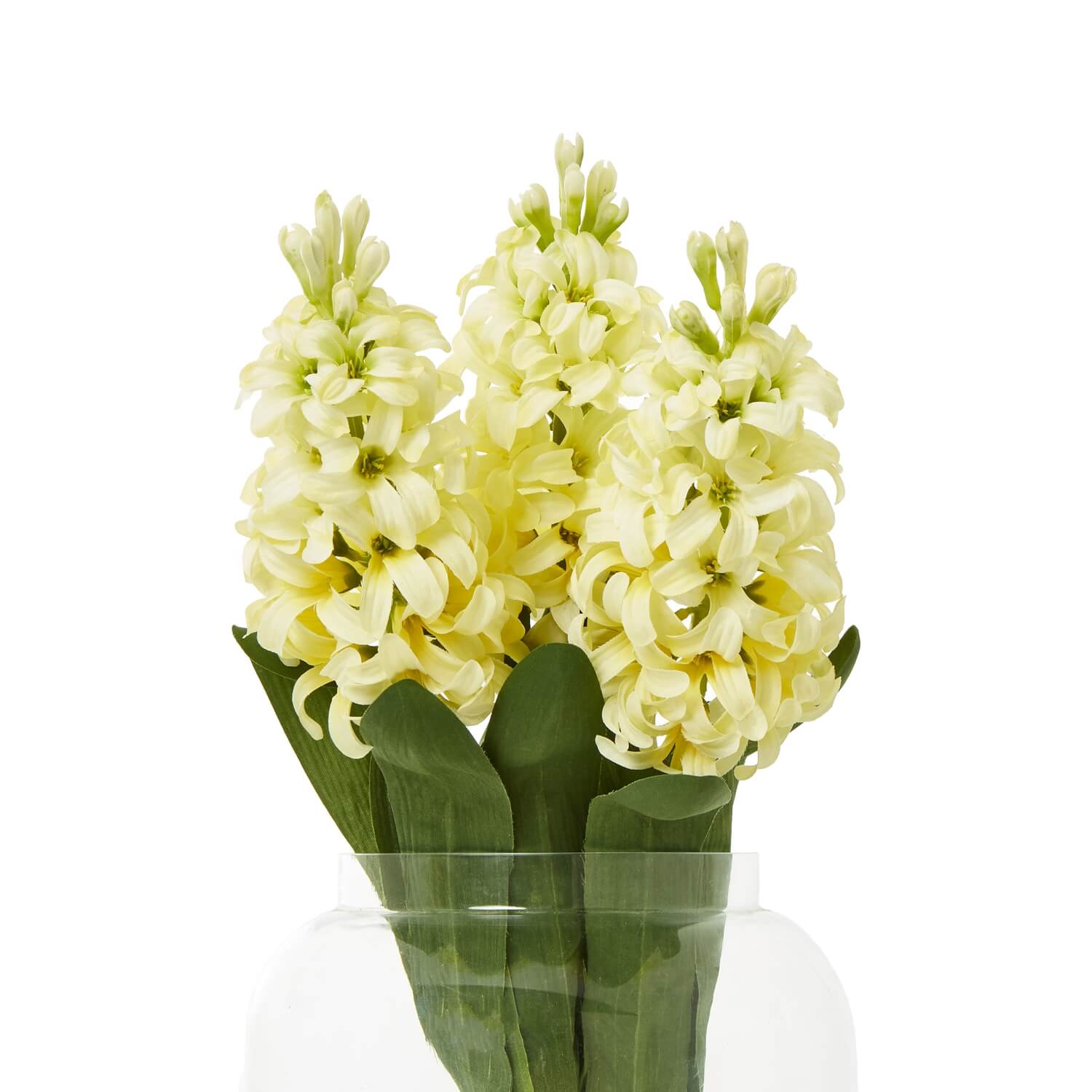 Bright Yellow Hyacinth Stems | Fresh Floral Elegance