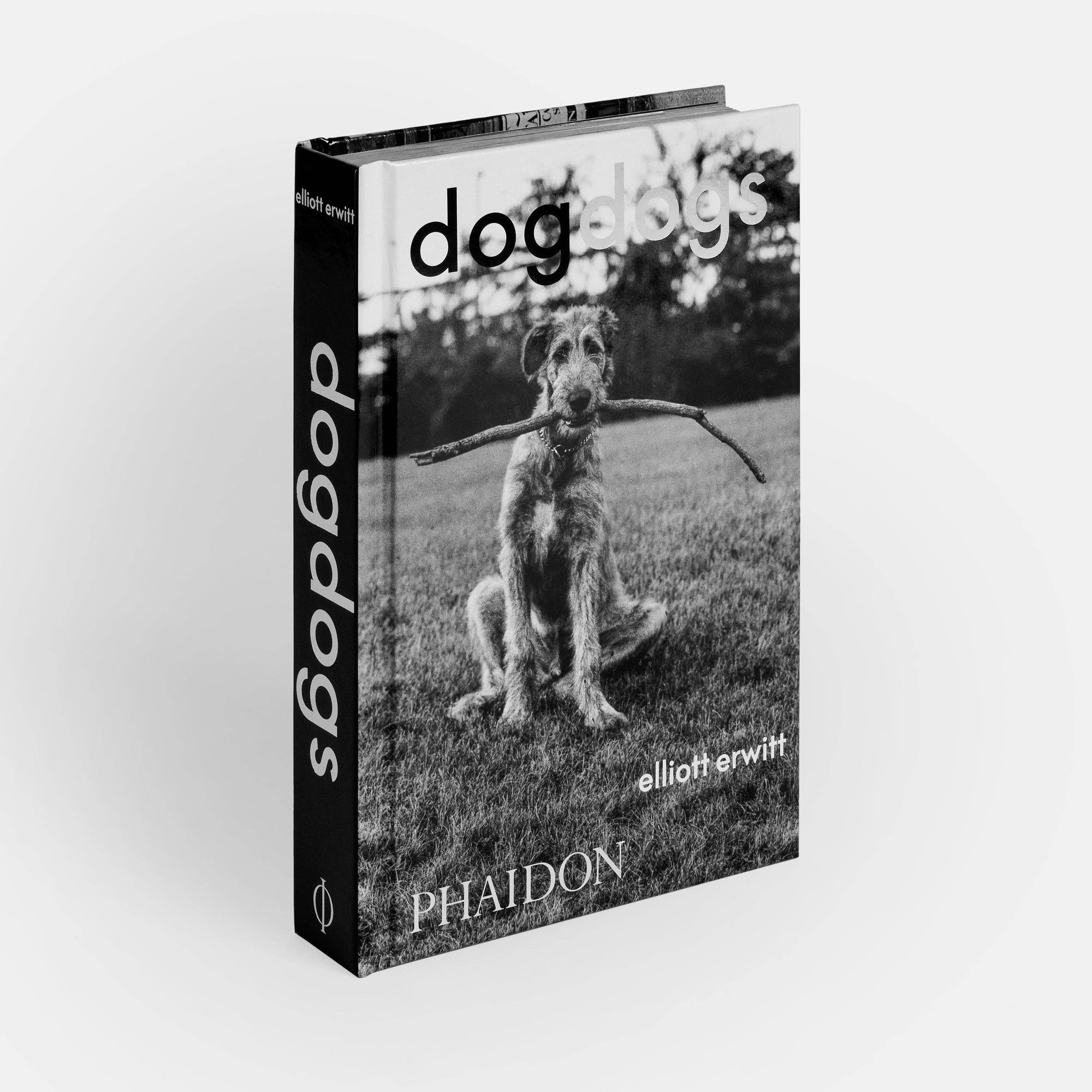 DogsDogs by Elliott Erwitt