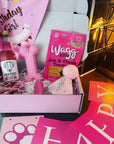 Birthday Girl Dog Hamper - Treats and Toys
