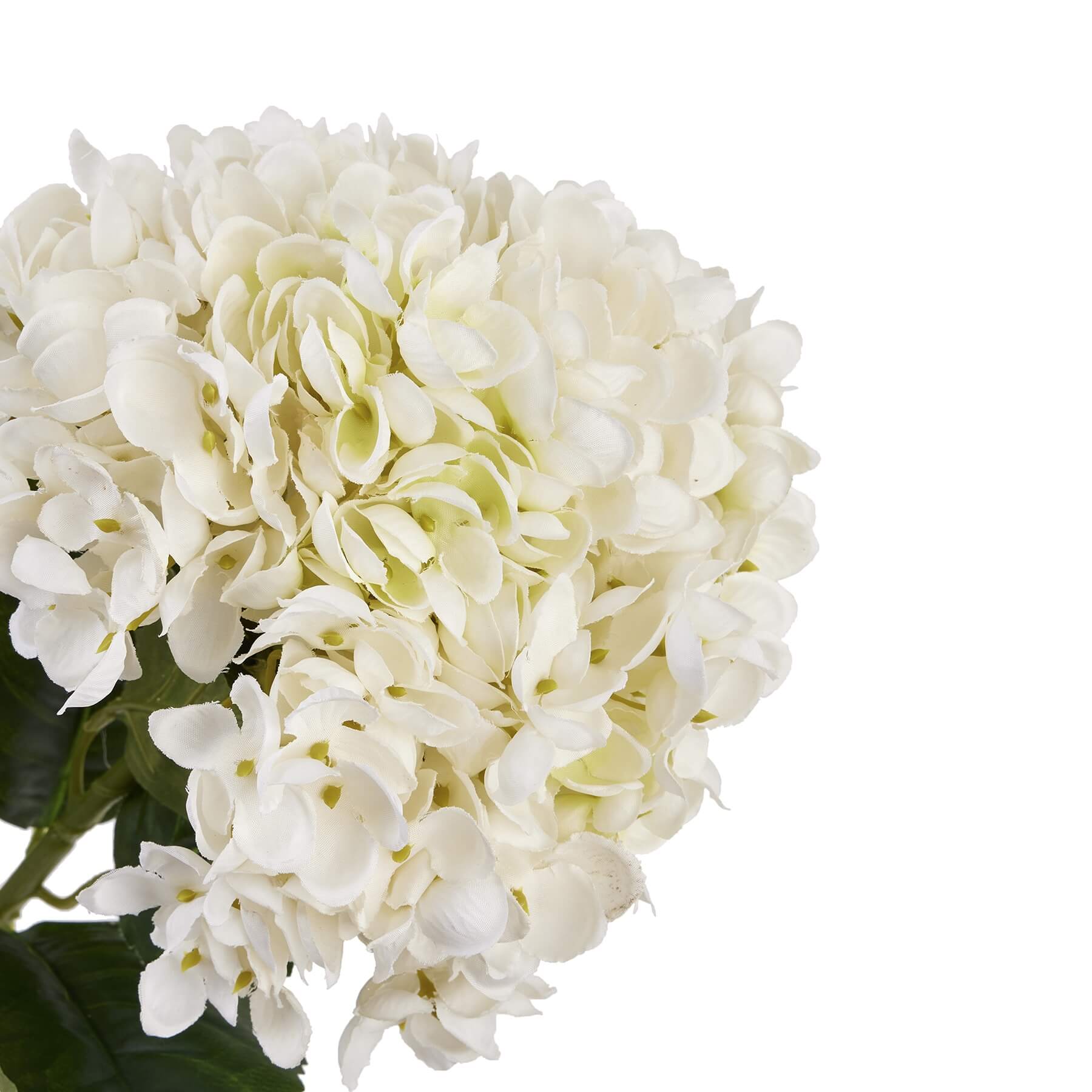 Elegant White Hydrangea Stem | Floral Home Decor