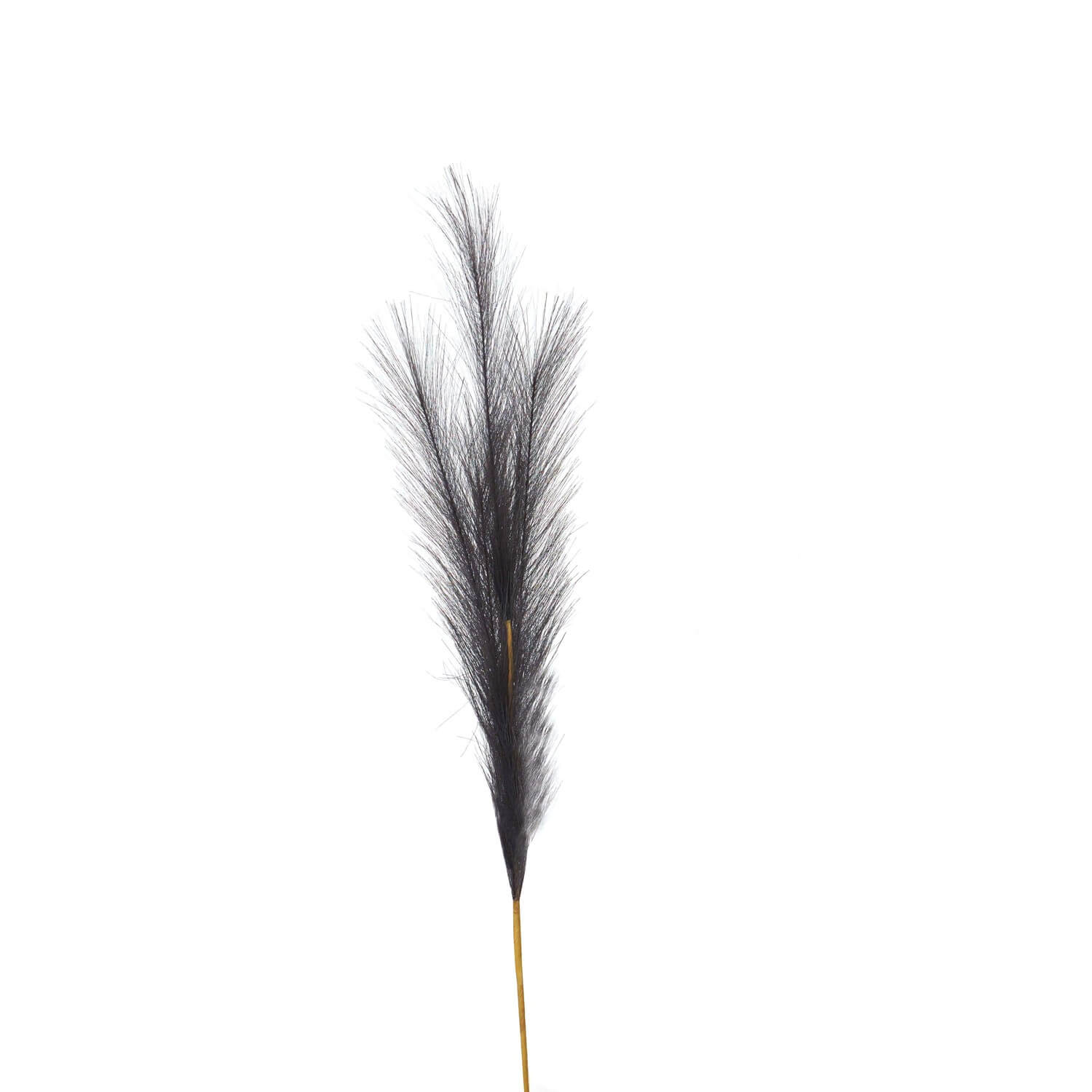 Elegant Grey Faux Pampas Grass Stem | Boho Home Decor